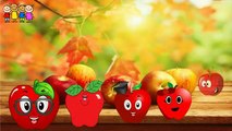 Baby Rhymes   Tomato- Brinjal-Watermelon-G