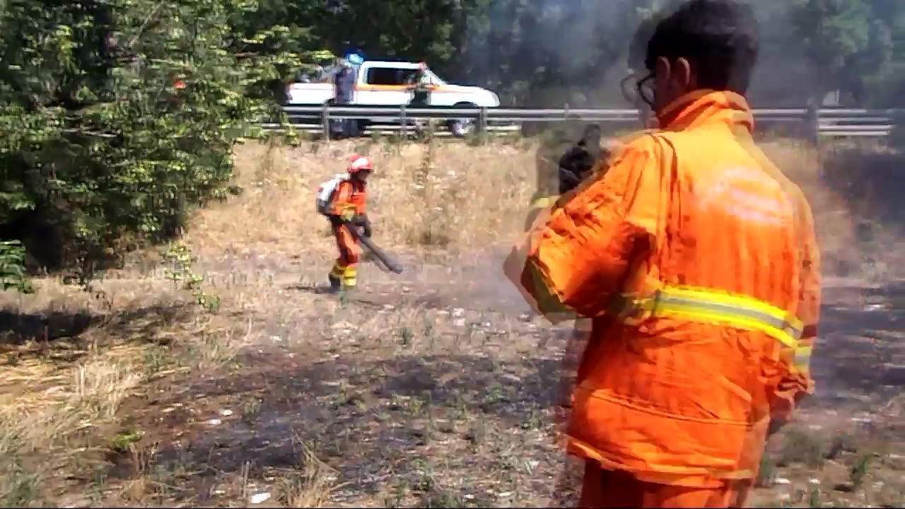 Incendi in campagna e su SP174 ad Andria: devastata macchia mediterranea, attaccati 50 ulivi e mandorli