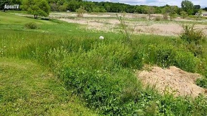 7 Real Aliens Caught on Tape (NEW) 2017