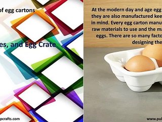 The Different Types Of Egg Carton & Applications
