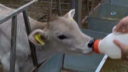 Bu Proje Türkiye'nin 600 Milyon Euroluk Zararını Önleyecek