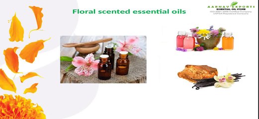 Best essential oil sotre for Carrier oils