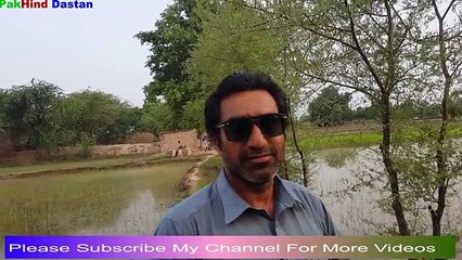 Dr.Azam Adeel Tips About Agriculture Rice Farming