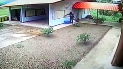 Este es el ladrón más estúpido de toda la historia