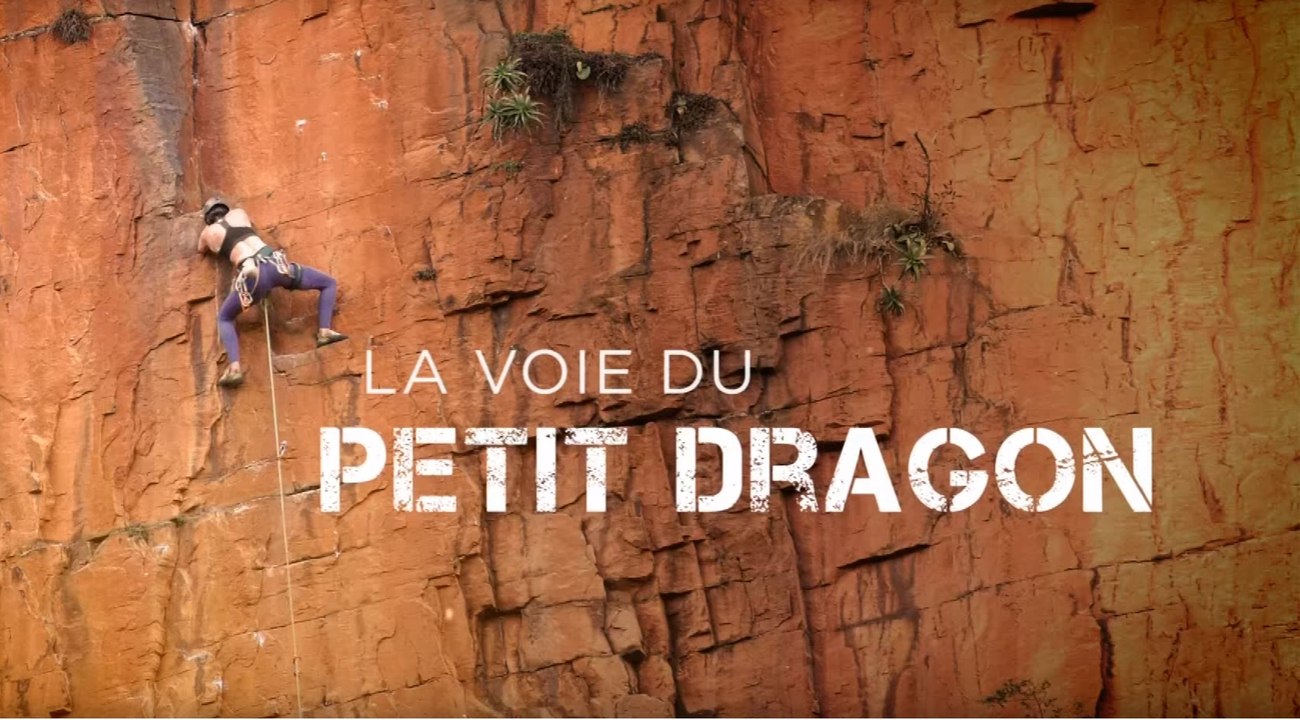 [Documentaire en intégralité] La Voie du Petit Dragon - Trek TV