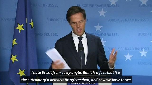 Dutch Prime Minister: 'I hate Brexit from every angle'