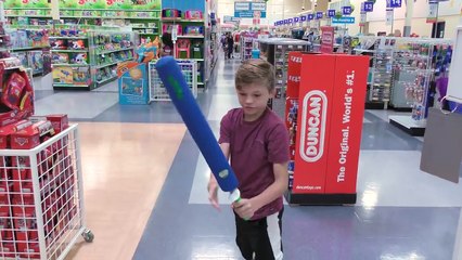 20 DOLLAR TOYS R US CHALLENGE | We Are The Davises