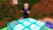 5 ĐIỀU LẠ KỲ VỀ ĐẦU RỒNG ENDER TRONG MINECRAFT POCKET EDITION | Minecraft PE 1.1.1.0
