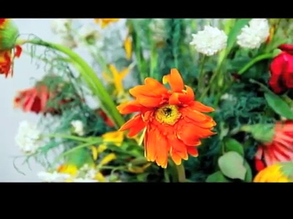 How to Increase Positive Energy at Home Vastu Shastra Tips