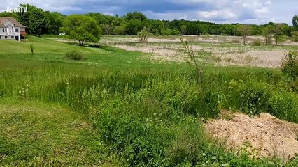 7 Real Aliens Caught on Tape (NEW) 2017