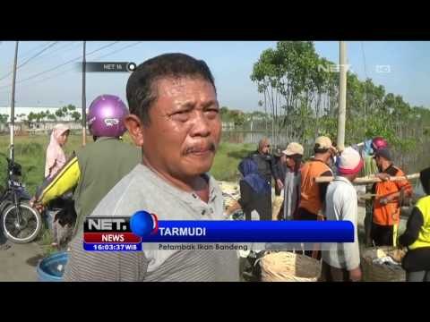 Ombak Tinggi, Ratusan Nelayan di Pangandaran Tak Melaut - NET16