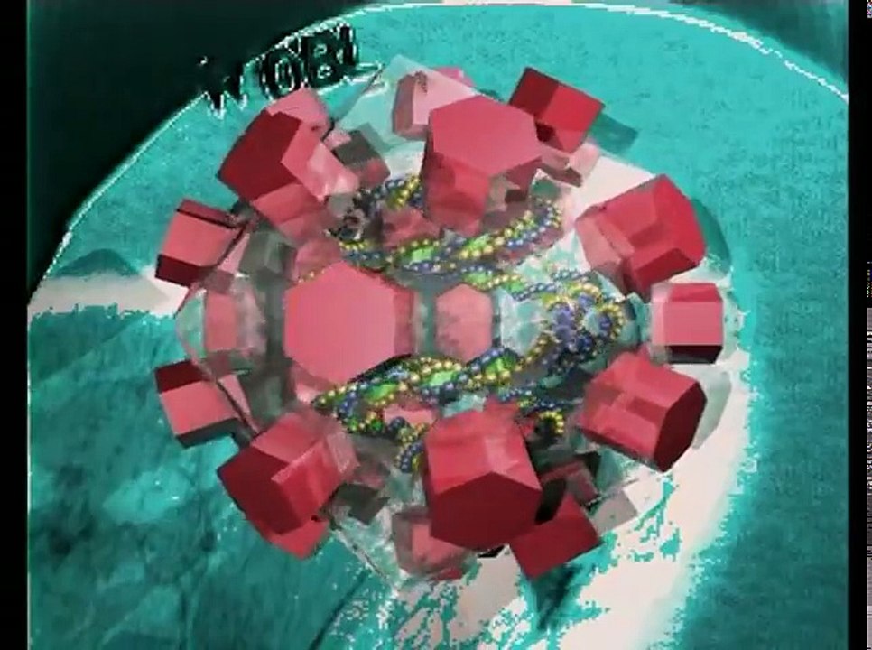 UNDERSTANDING VIRUSES 1994