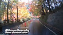 japan drive recorder ♯8
