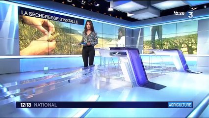 Chaleur : l'agriculture menacée par la sécheresse