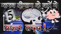 5 Stunning Facts About The Human Brain मानव मस्तिष्क के बारे में 5 आश्चर्यजनक तथ्य