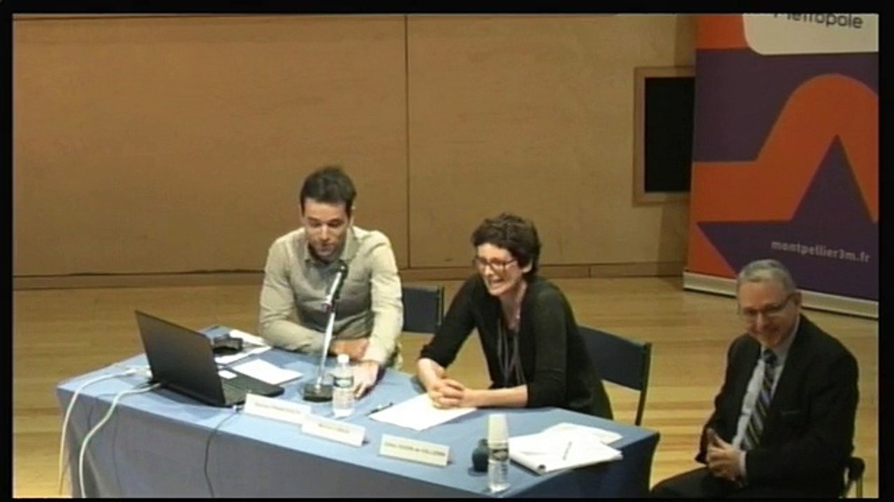 La place du numérique dans une politique d'accessibilité, l'exemple de Montpellier Méditerranée Métropole : offres, actions, acteurs, partenariats, territoires et évaluation