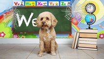 Apprendre Anglais avec le chien apprentissage pour enfants