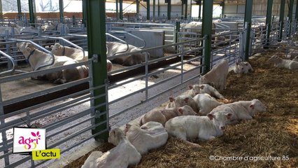 JT Agri85 TV du vendredi 23 juin 2017