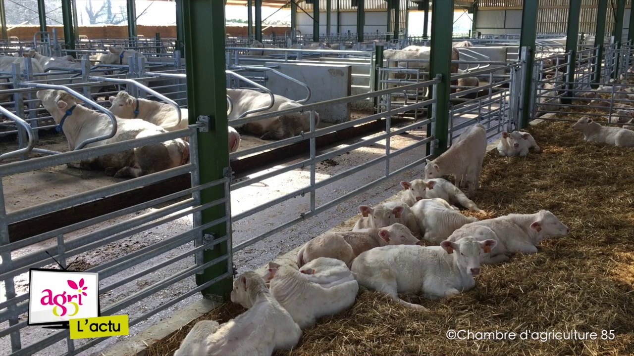 JT Agri85 TV du vendredi 23 juin 2017