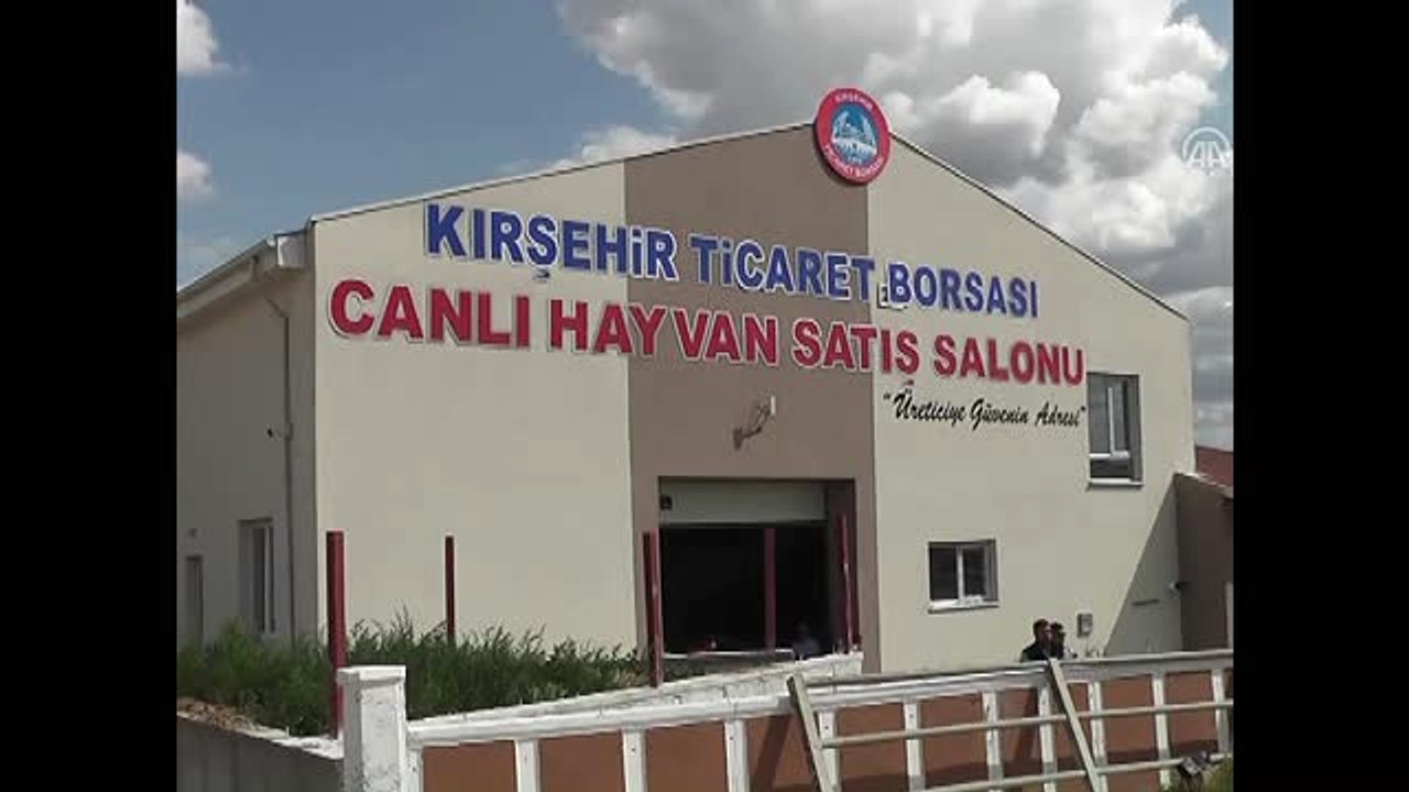 Bayrama 'Koç'larıyla Giriyorlar