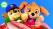 Paw Patrol Skye Chase Babies Eat Gummy Worms Candy Learning Colors for Children | Fizzy Fu