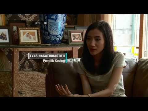 Tips dan Trik Mudik Bersama Hewan Kesayangan - NET5 04 Juli 2016