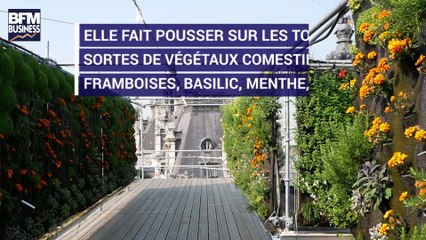 Cette start-up fait pousser des fraises sur le toit du BHV
