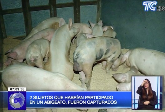Dos sujetos que habrían participado en un abigeato fueron capturados