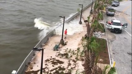 Kayaks, falling trees and islands of fire ants amid storms in Gulf region