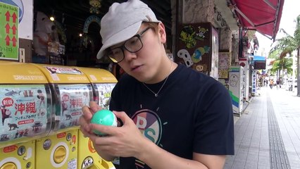 1日で沖縄の海入って北海道のみそラーメン食べて帰ってこれるのか旅行