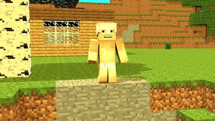 Top 5 Minecraft Zombie Life (Minecraft Animation)