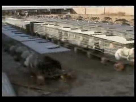 Terriens - earthlings - partie 6 / 10