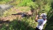 Un alligator attaque un photographe pour défendre ses petits