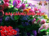 Bai giang Sinh hoc 9 - Bai 2 - Lai Mot Cap Tinh Trang