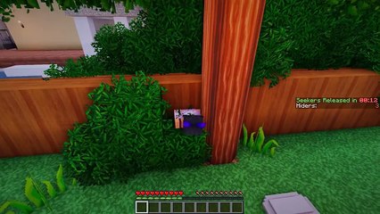 CAT GIRLS SLEEPOVER! | Hide and Seek Minecraft