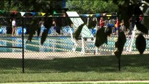 Gang Targeting Women at Kansas Pools and Dog Parks, Police Say