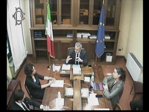 Roma - Audizione De Matteo, presidente Sin (21.06.17)