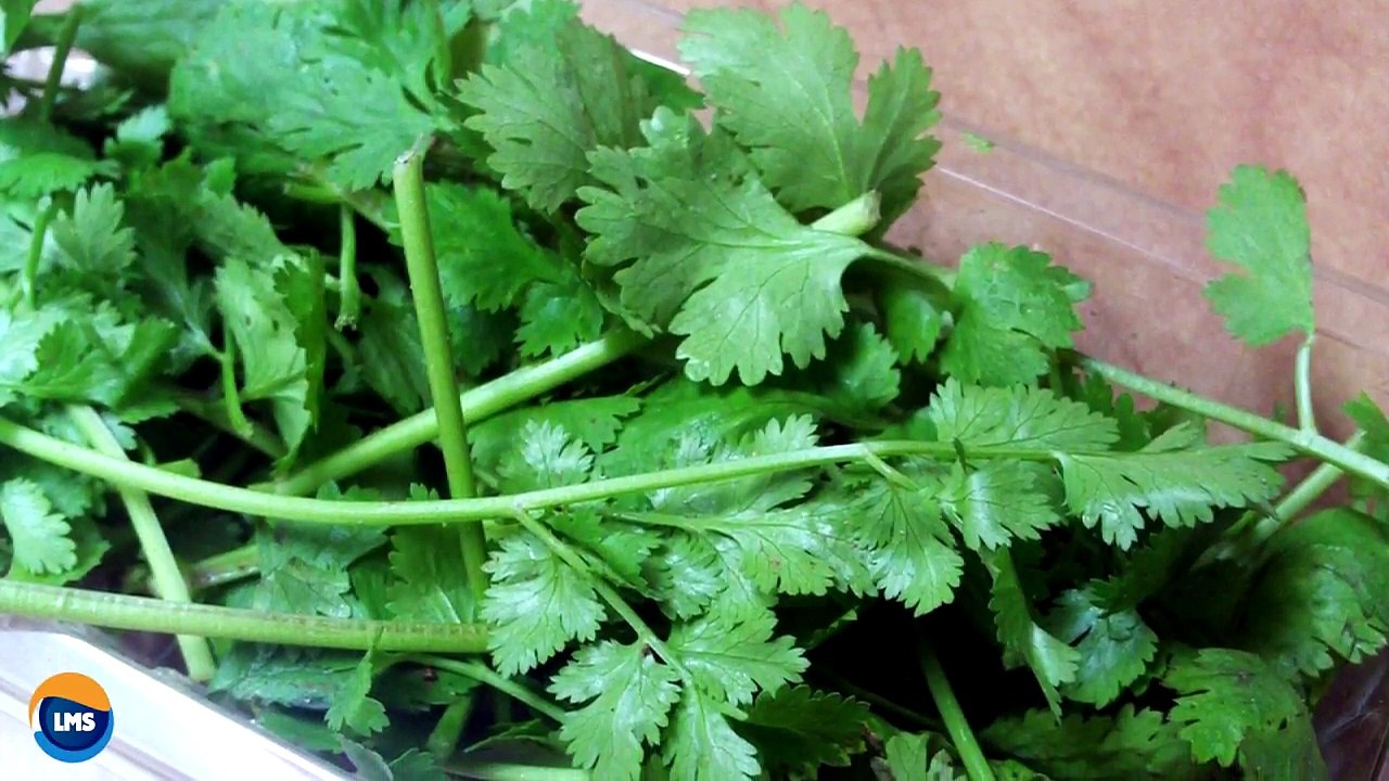 ESTO CURA DE UN SOLO GOLPE LA DIABETES, RIÑONES, PÁNCREAS, HÍGADO, NIVELA EL COLESTEROL, V