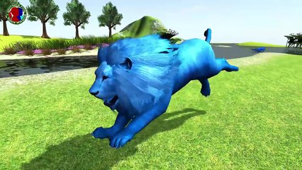 Learn 3D Wild Animal Names And Sounds || Kids Animation Nursery Rhymes For Kids