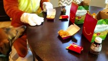 Rubble the Paw Patrol Pup Makes a Mess & Goes to McDonalds Drive Thru ~ Kid Shows