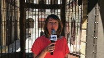 Fort Boyard : toutes les nouveautés de la saison 2017 avec Alexia Laroche-Joubert