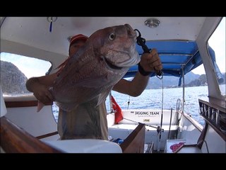 marmaris trança 8.150 kg