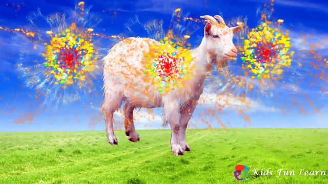 Finger Family Farm Animals Rhymes | Animals Finger Family Song | Animal Sounds Video For K