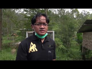 Download Video: 4 Kukang dan 2 Lutung Jawa Sitaan Dalam Tahap Rehabilitasi - NET5