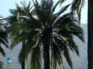 tierra enquevivimos darwin de valaparaiso a serena p2