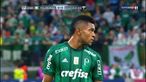 Palmeiras x Atlético-GO (Campeonato Brasileiro 2017 9ª rodada) 1º Tempo