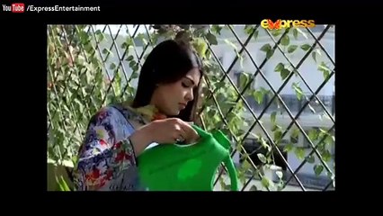 Naseboon Jali Nargis - Episode 45  Express Entertainment
