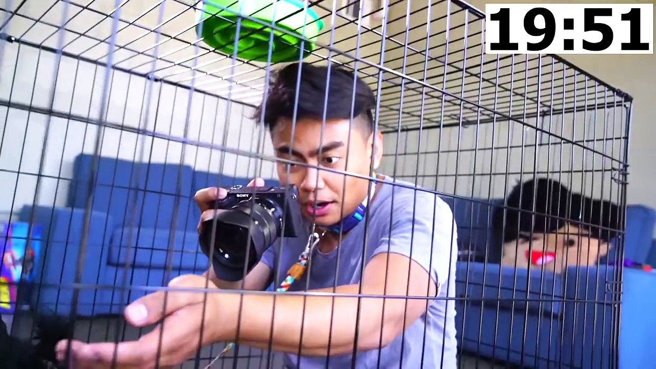 Escape The Dog Cage Challenge!