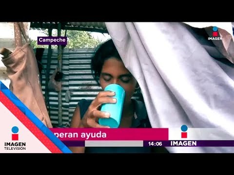 Más de 160 familias desplazadas viven así | Noticias con Yuriria Sierra