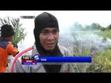 Kebakaran Hutan dan Lahan di Palangkaraya Meluas Akibat Angin Kencang - NEt5